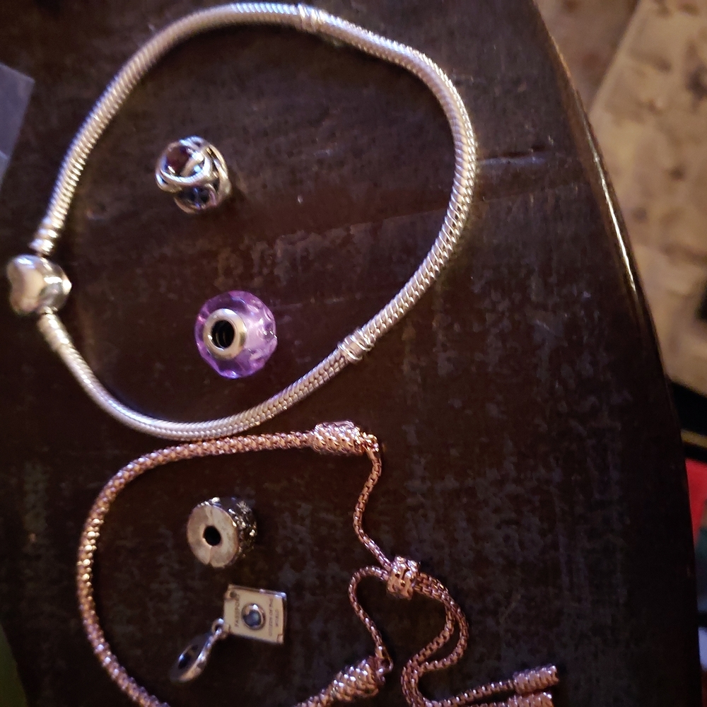 Elegant Silver and Rose Gold Charm Bracelet Set